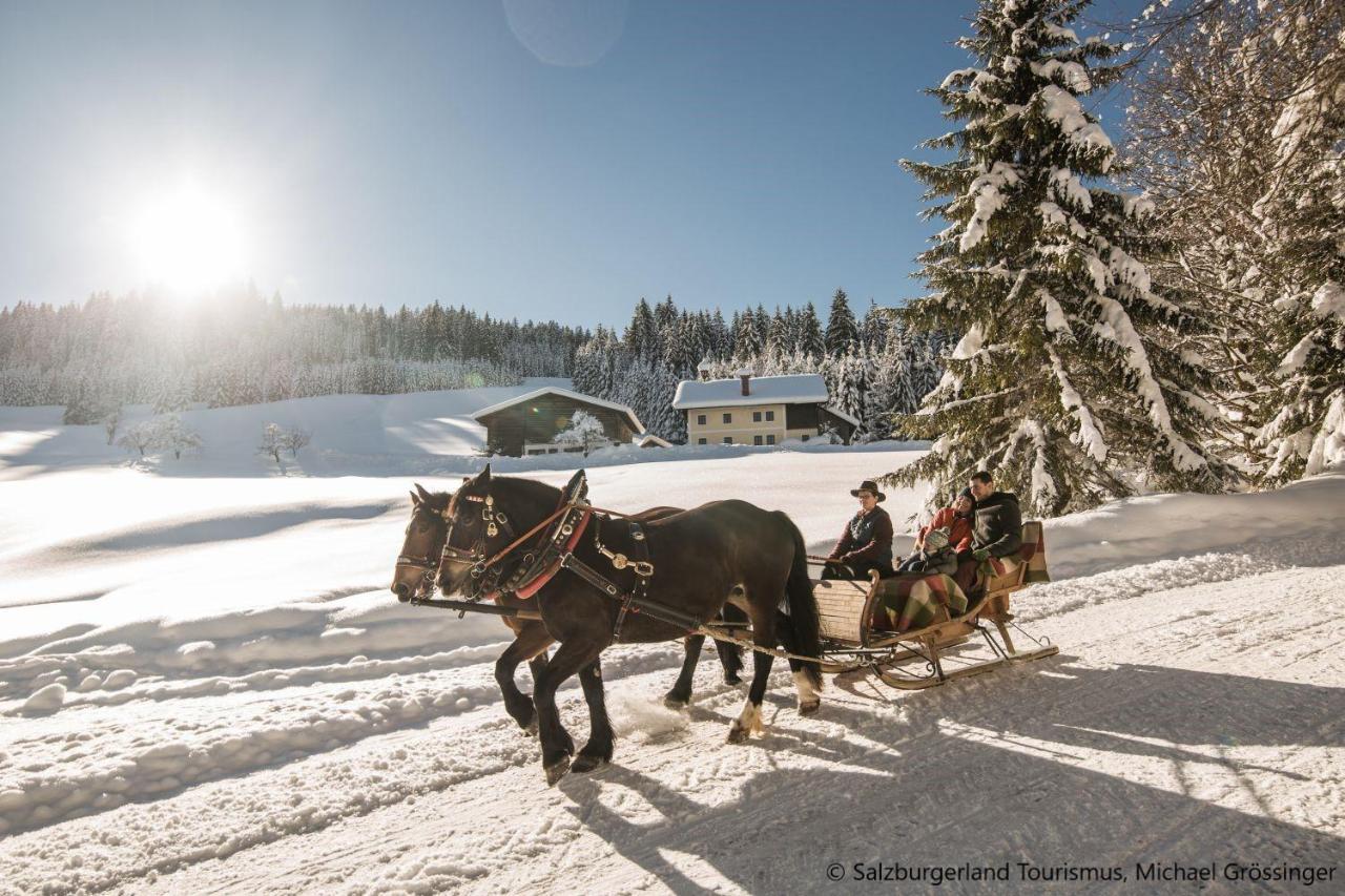 Hideaway Dachstein West By Alps Resorts Санкт Мартин ам Тененгебирге Екстериор снимка